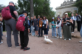 dscf4791.jpg