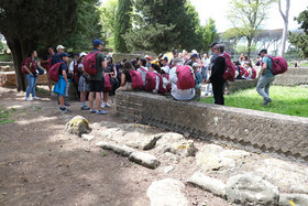 dscf5050.jpg